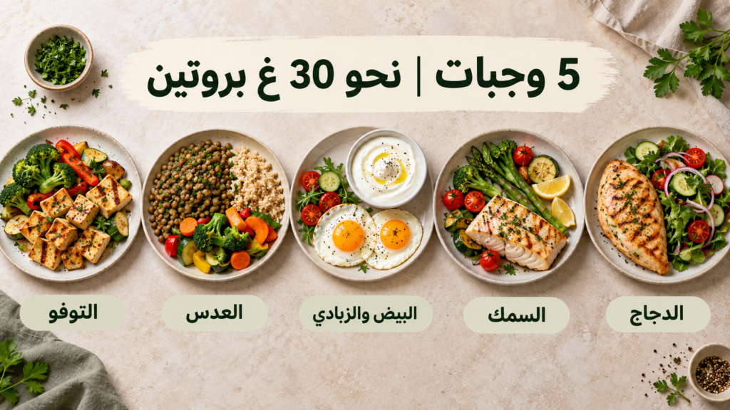 high-protein-meals-comparison